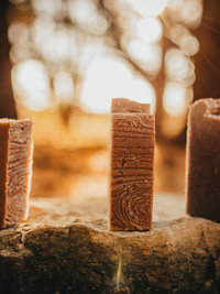 Cedar and Clove 