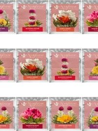 Blooming Tea - 12 Variety Tin 