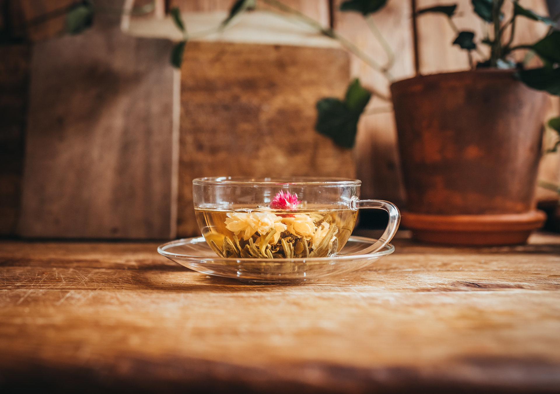 Blooming Tea - Green Tea and Jasmine