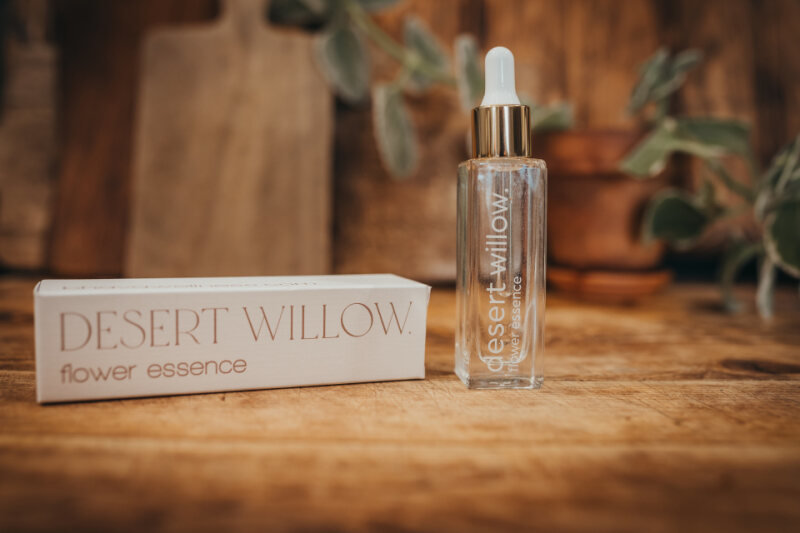 Desert Willow Flower Essence